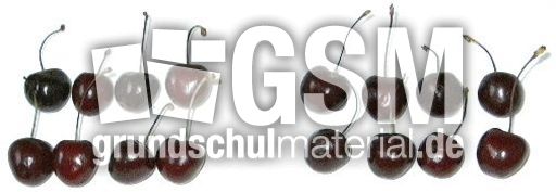 Kirschen8+8.jpg